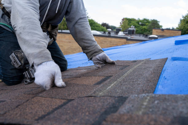 Best Local Roofing Companies  in Burlington, KS